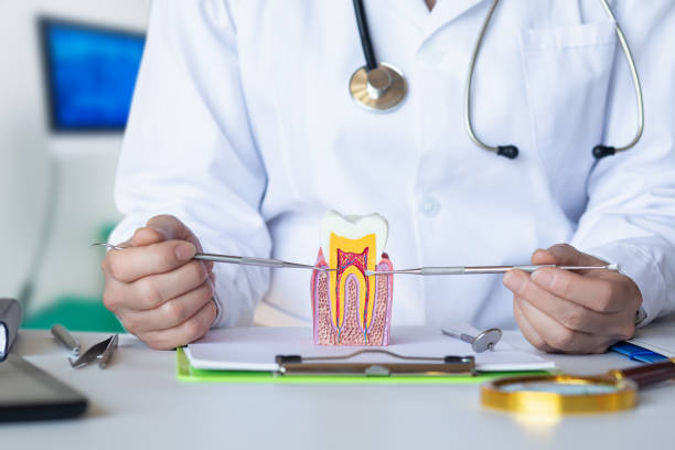 Best Dental Abscess Treatment in Lenwood, CA
